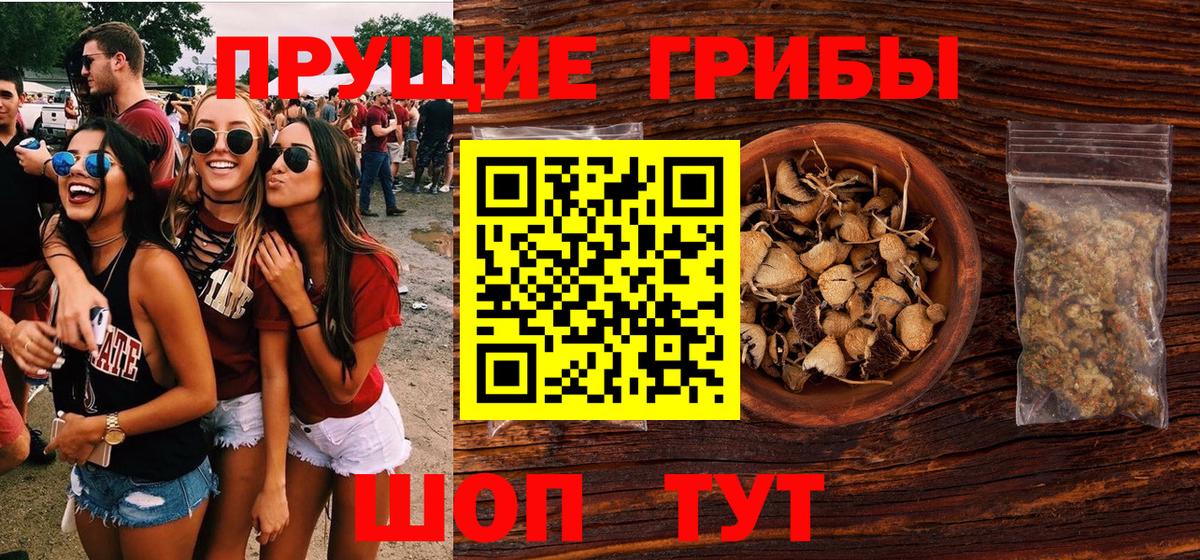 Галлюциногенные грибы GOLDEN TEACHER  сколько стоит  Новый Уренгой  Вход с VPN 